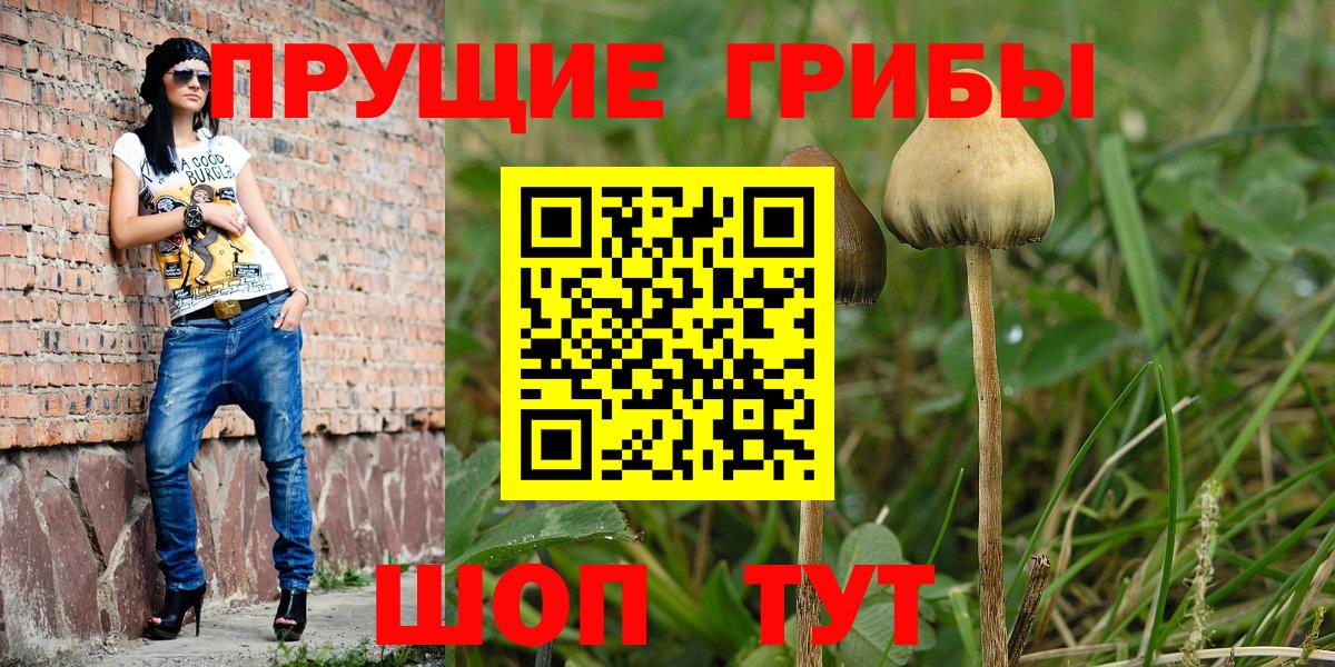Галлюциногенные грибы Cubensis Ялуторовск